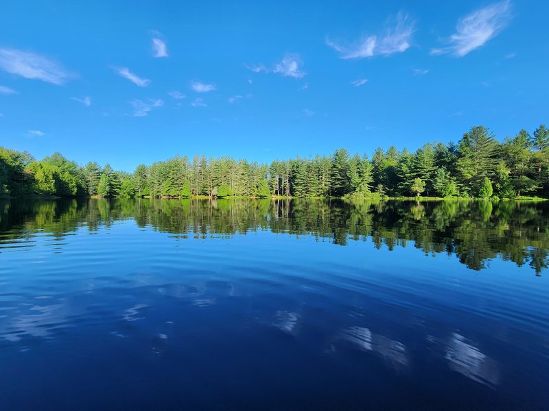 blanchard Lake 5.05 acres ny