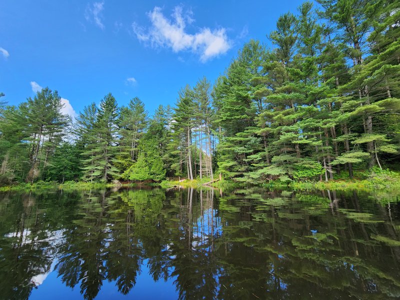 blanchard pond lake ny 5.05 acres