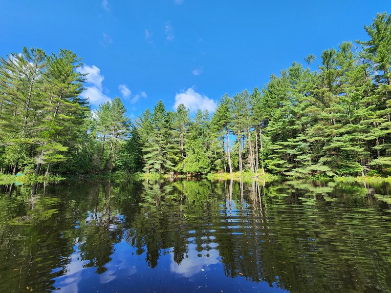 blanchard lake for sale