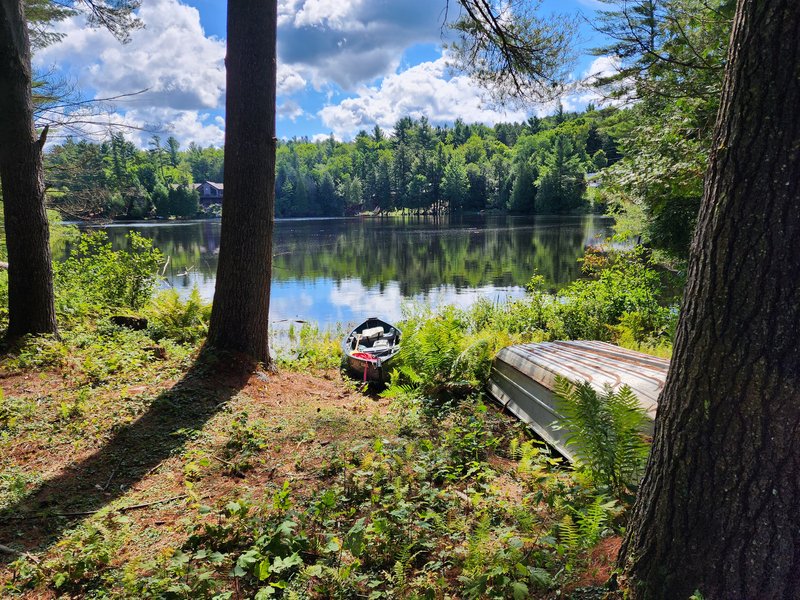 5.05 acres blanchard lake boats shore lake sale ny