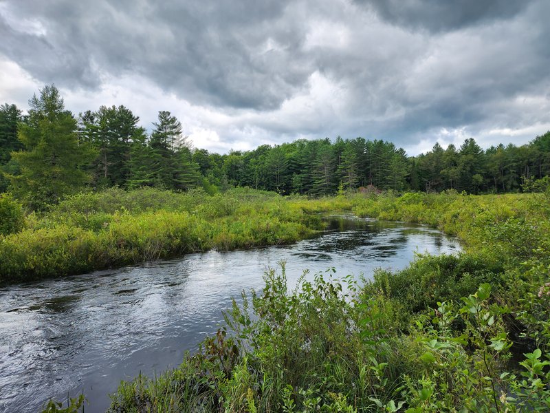 Blanchard Creek Lot 17 Summer