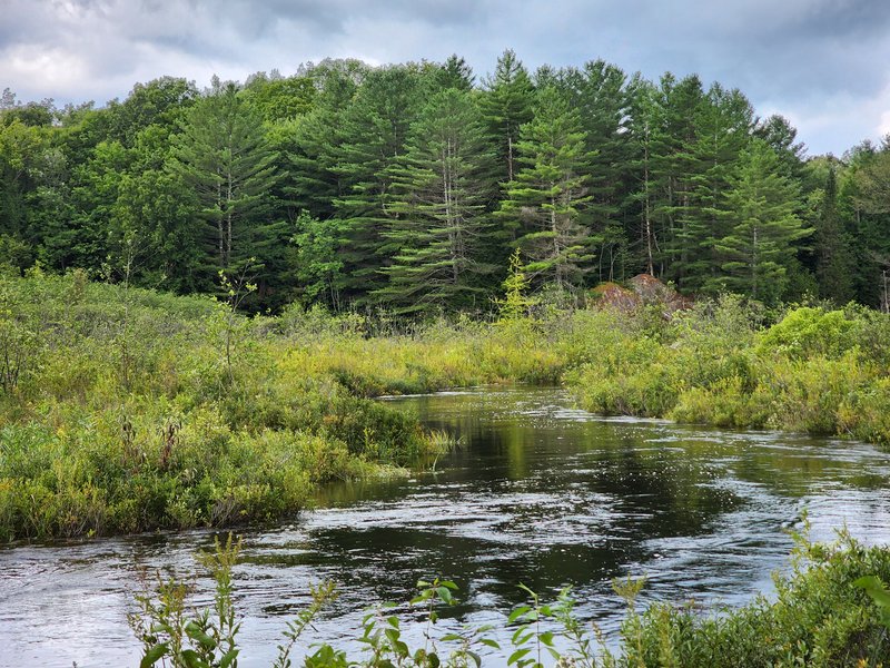 Blanchard Creek NY west of Lot 17 Evergreens