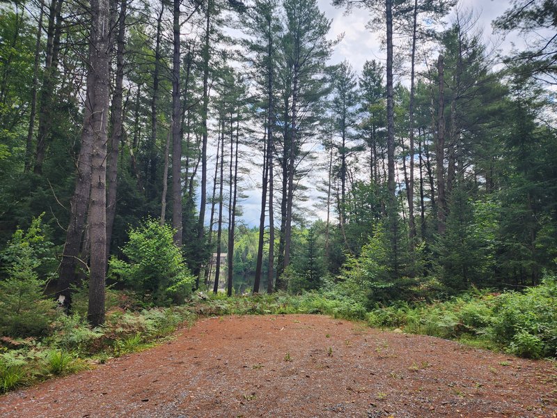 5.05 acres drive lake front for sale building area new york blanchard pond