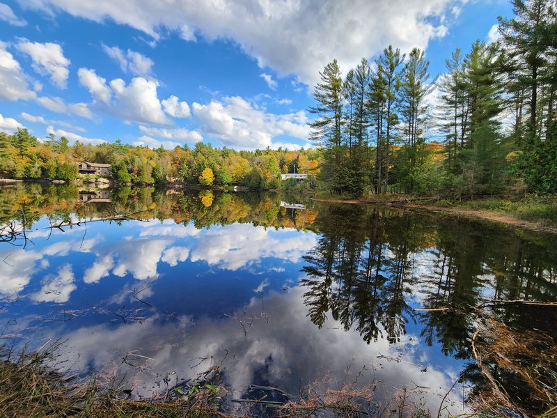 east cove blanchard lake new york 5.05 acres for sale