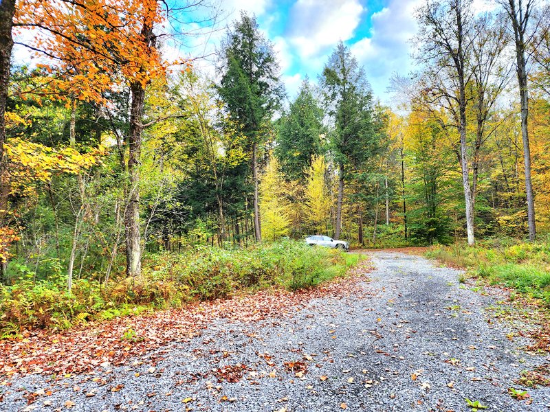 Blanchard Creek 5 acres driveway