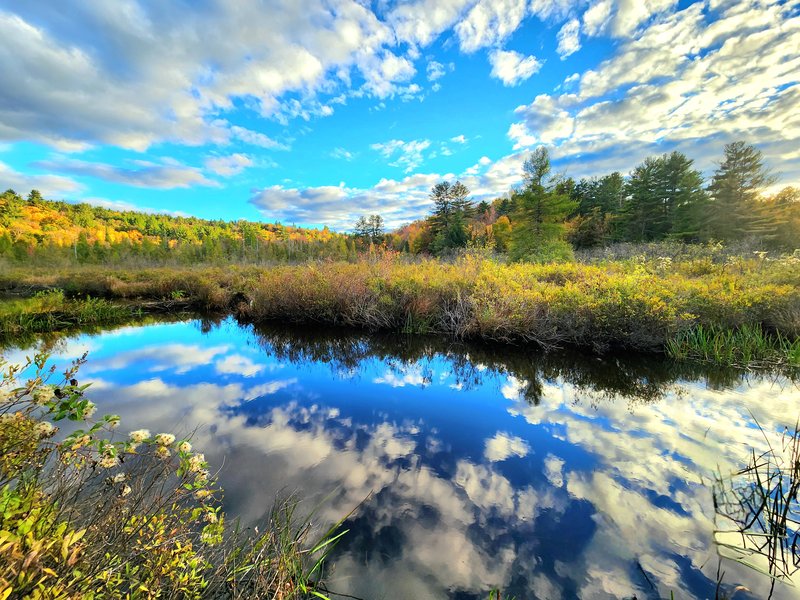 Blanchard Creek NY 5 acres with 175' waterfront
