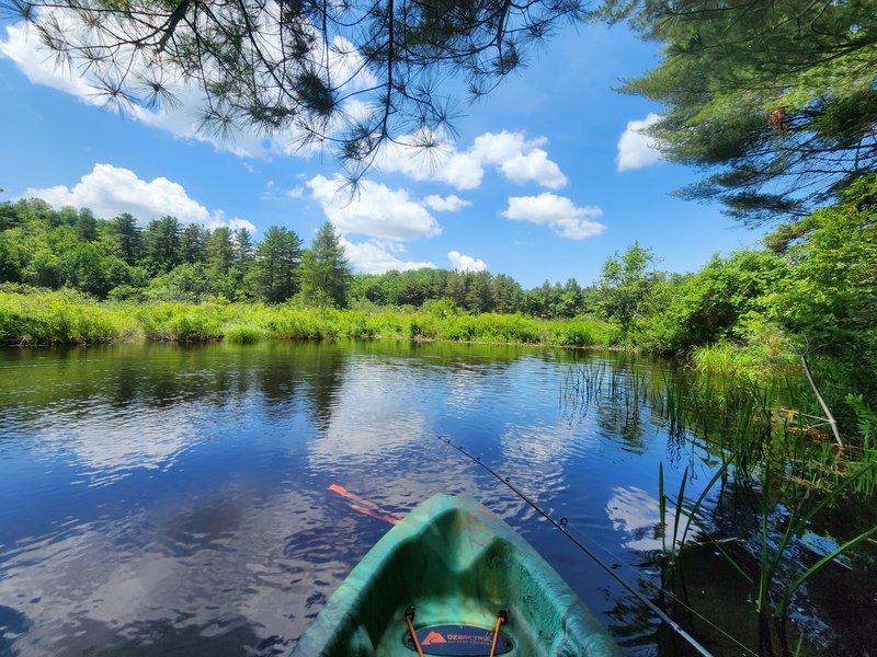 Blanchard Creek at New York State Jadwin State Forest