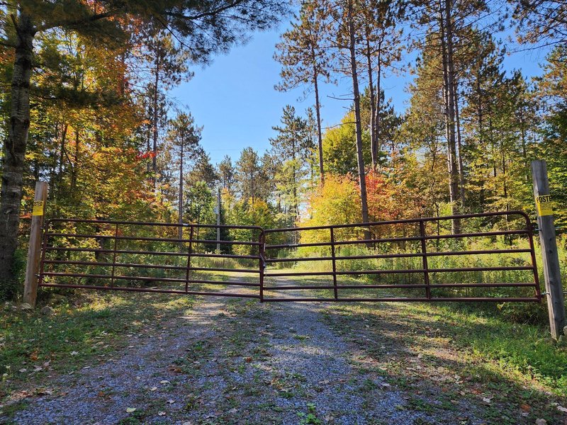 Main Gate fall Blanchard Drive new york