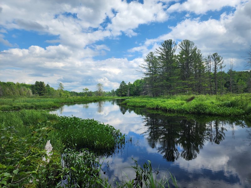 indian river ny