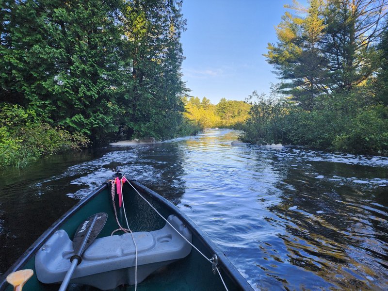 blanchard creek high water dawn canoe