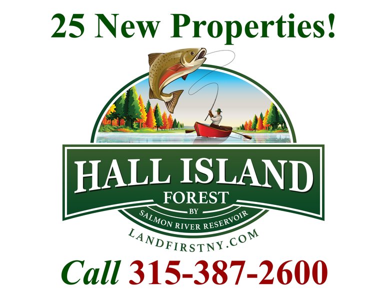 hall island forest logo with phone number and 25 new properties red phone number