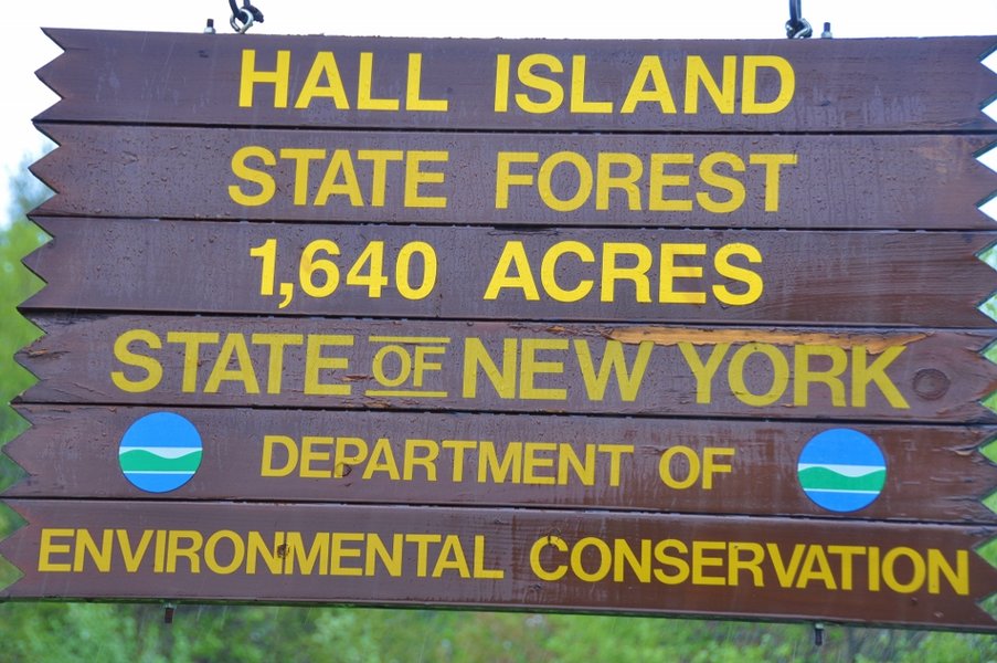 hall island state forest sign new york
