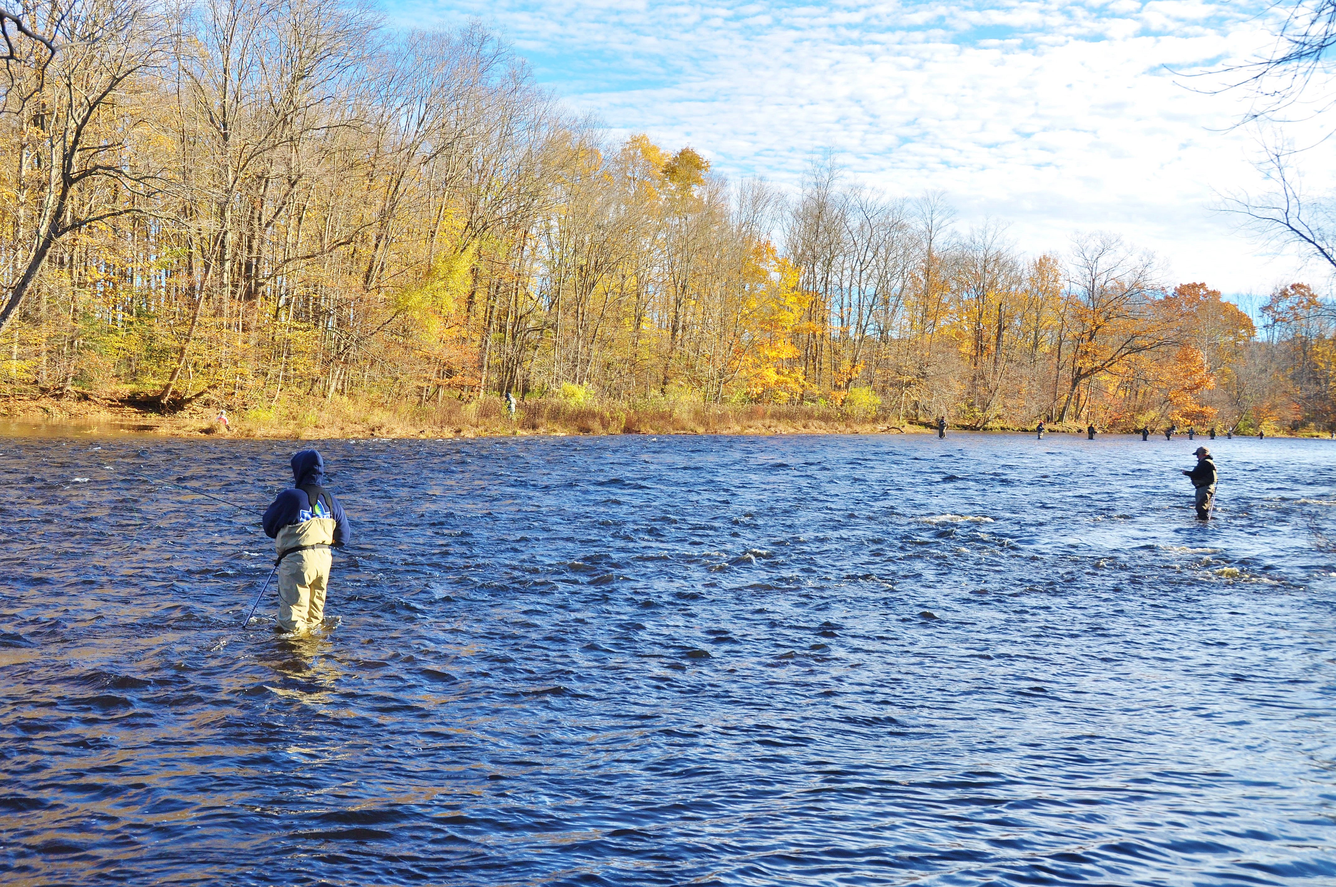 salmonn riverbank jake basta riverbank lot 1 lot 2 lot 3 (background)